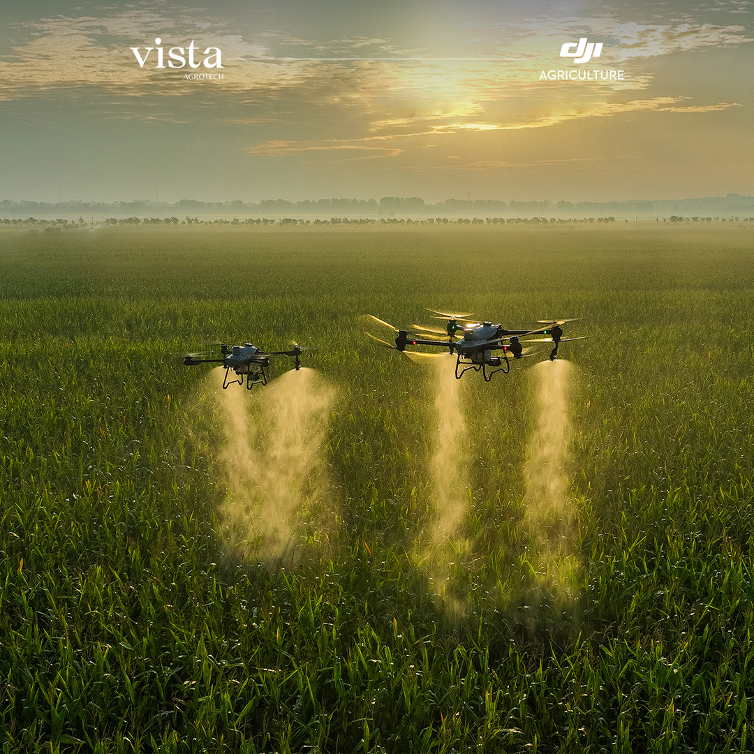 Curso de Operador de Drones Agrícolas On-line - Vista Agrotech