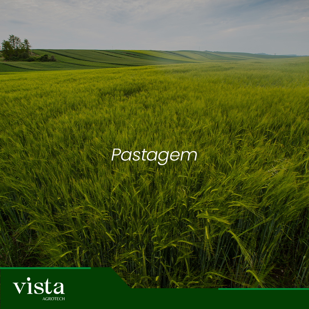 Pastagem
