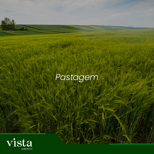 Pastagem
